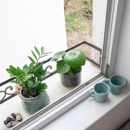 Apartmán Pecorino's Budapešť